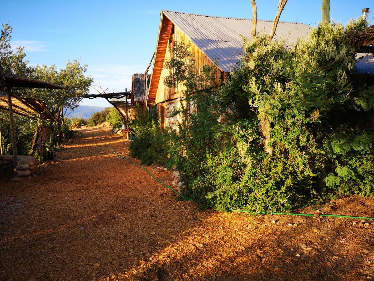 Amber Lagoon Backpackers Lodge Vleirivier Exterior photo