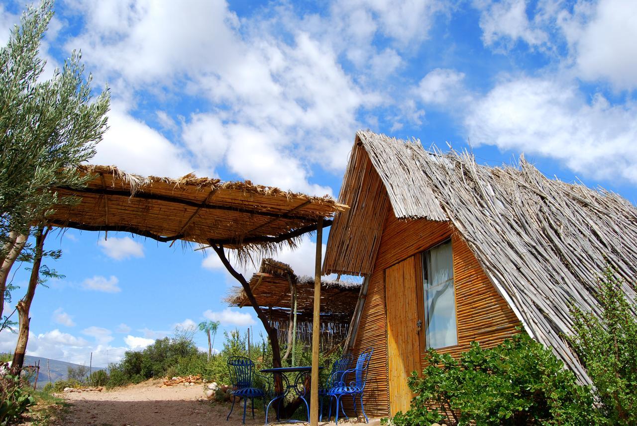 Amber Lagoon Backpackers Lodge Vleirivier Exterior photo